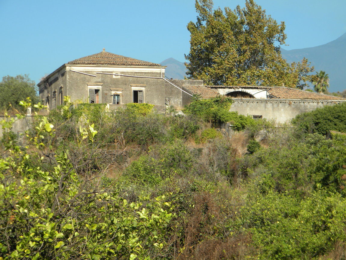 DSCN8143 .JPG